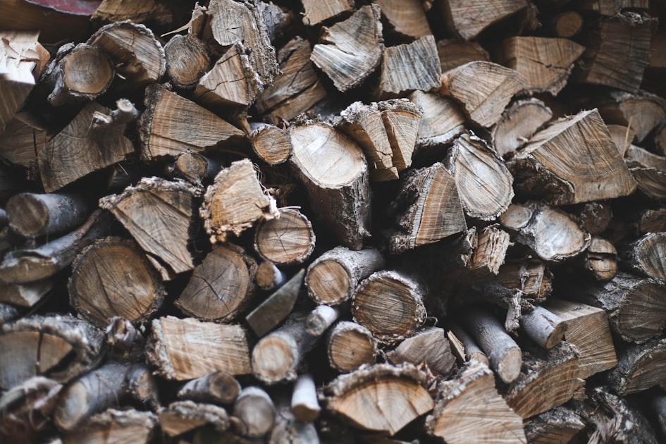 Timber: A Natural Material for Art