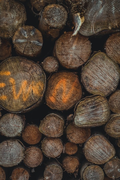 The Art of Timber Transformation